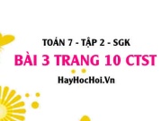 Bài 3 trang 10 Toán 7 Tập 2 Chân trời sáng tạo